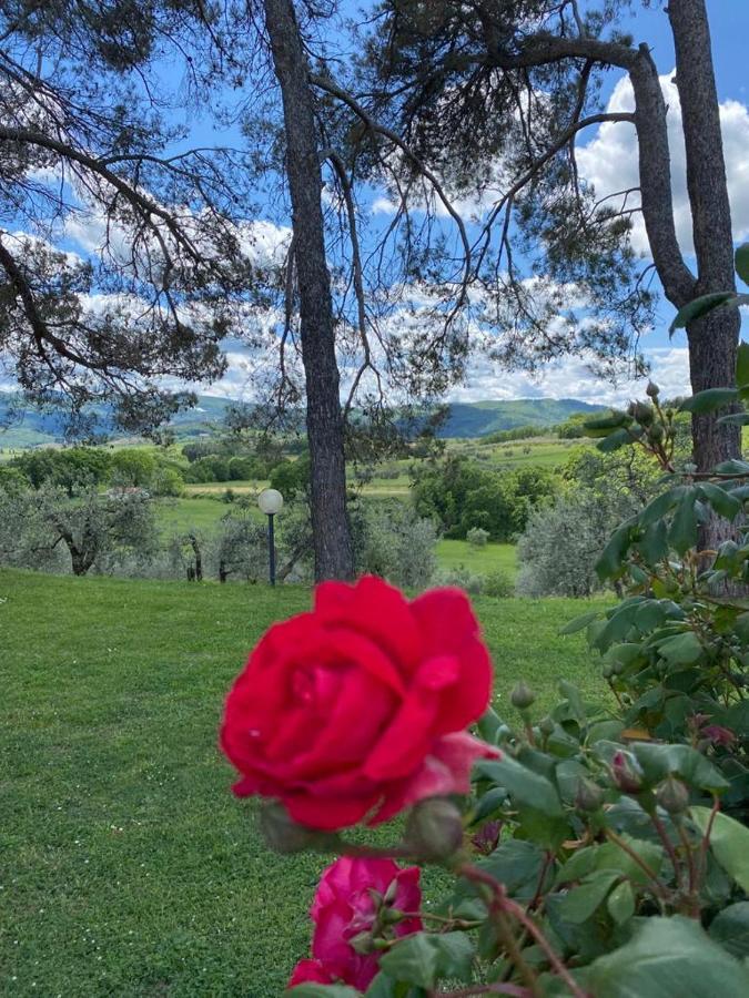 San Francesco *